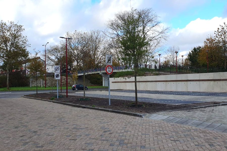 Foto bomen bij parkeerplaats