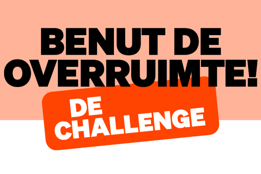 Vernieuwing park in City