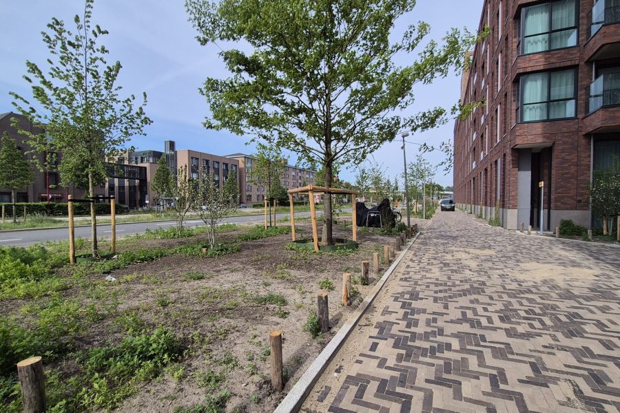 Vernieuwing park in City