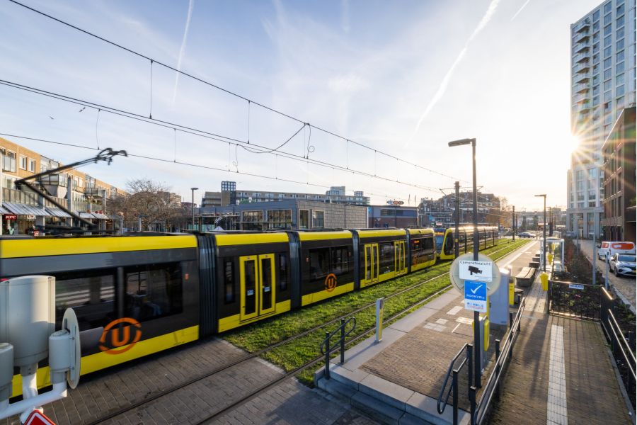 Vernieuwing park in City