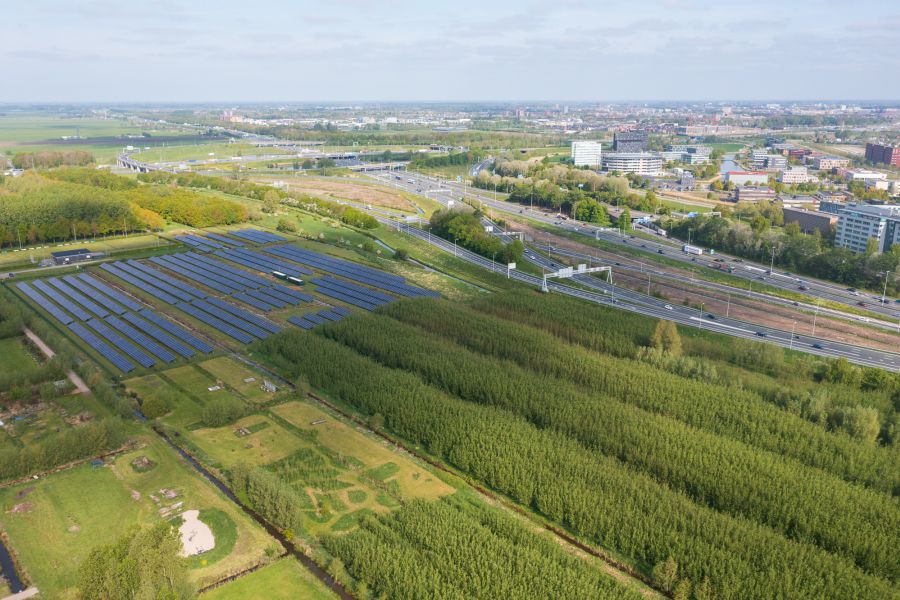 Vernieuwing park in City