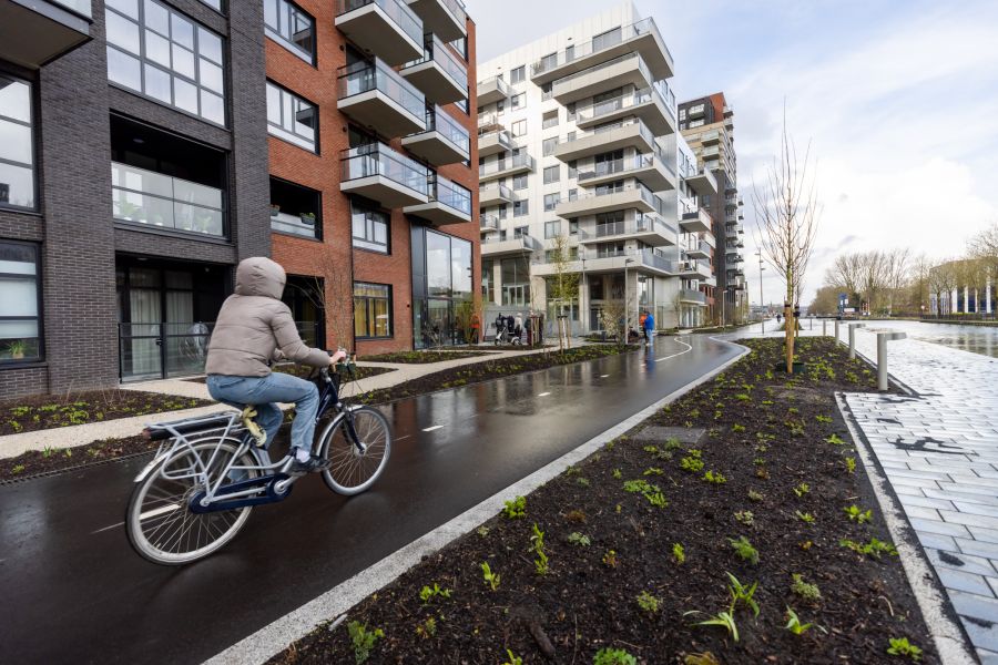 Vernieuwing park in City
