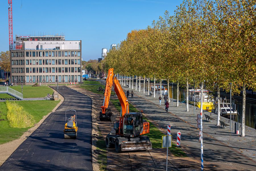 Bomen langs de Doorslagzone