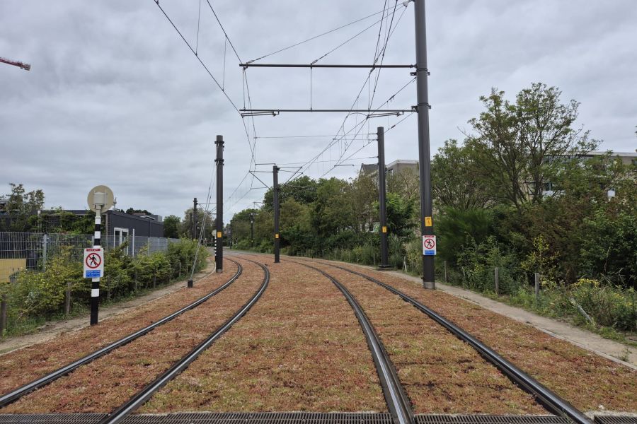 Vernieuwing park in City