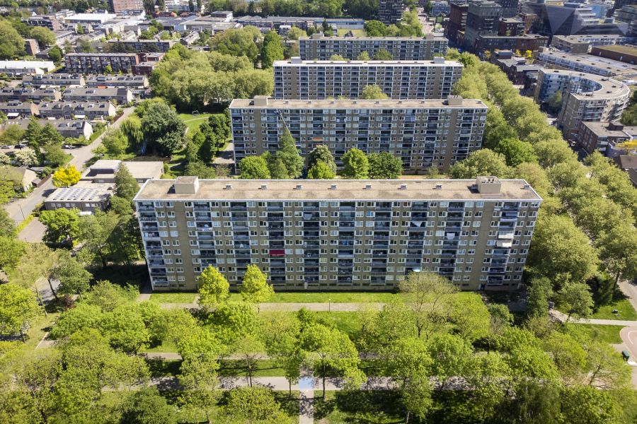 Vernieuwing park in City