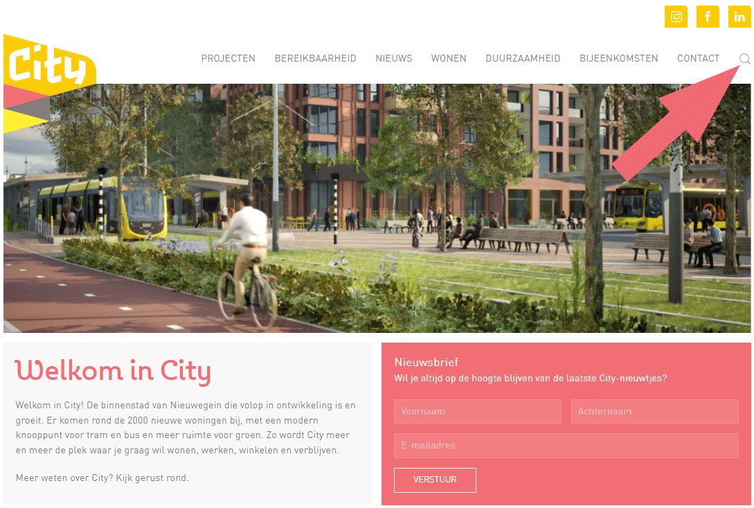 Screenshot homepage website